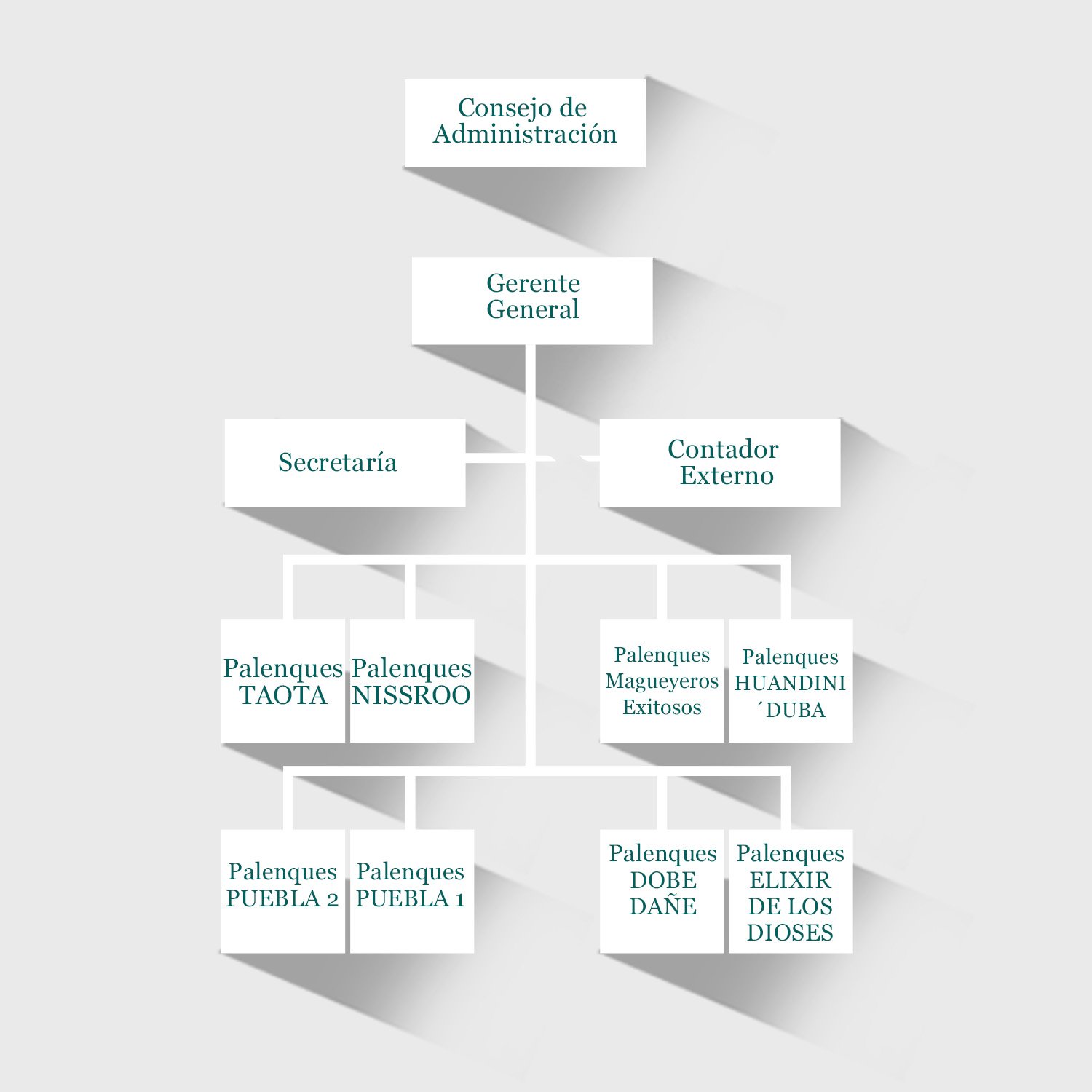 organigrama